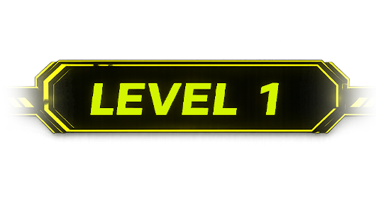 Level 1